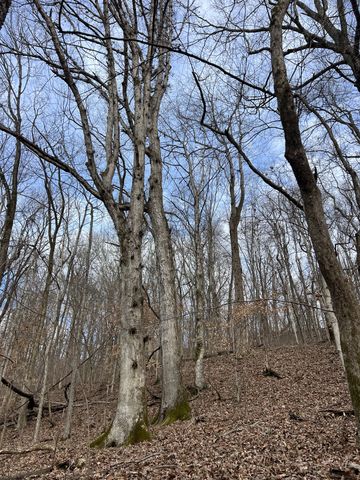 256 Lynchburg Hwy, Fayetteville, TN 37334