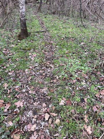 256 Lynchburg Hwy, Fayetteville, TN 37334