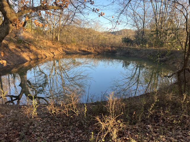 256 Lynchburg Hwy, Fayetteville, TN 37334