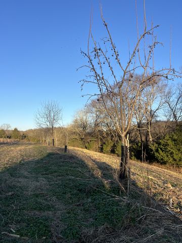 256 Lynchburg Hwy, Fayetteville, TN 37334