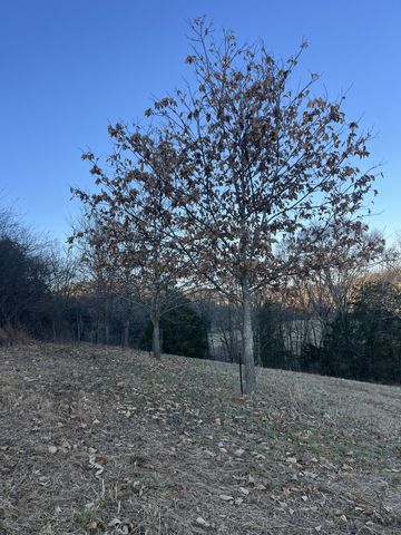 256 Lynchburg Hwy, Fayetteville, TN 37334