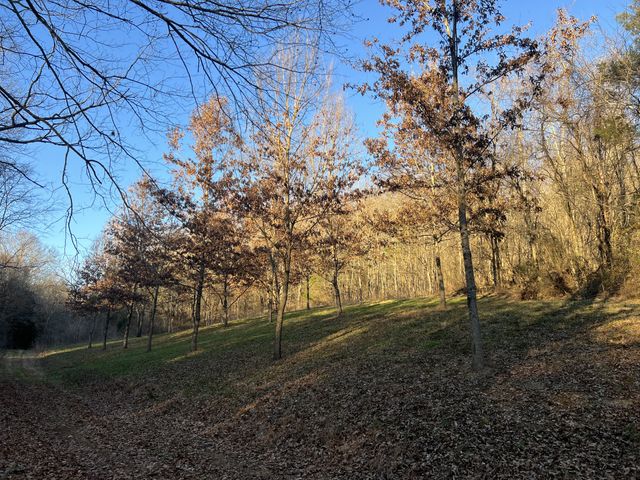 256 Lynchburg Hwy, Fayetteville, TN 37334