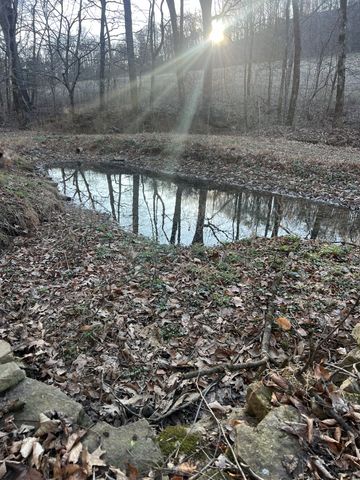 256 Lynchburg Hwy, Fayetteville, TN 37334