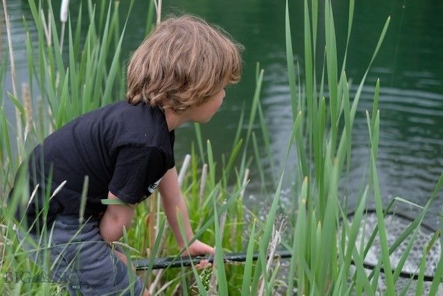 370 Star Ridge Road, Bozeman, MT 59715