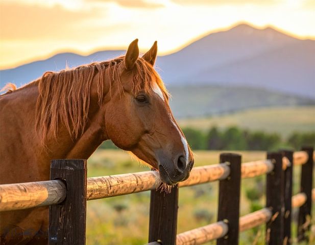 370 Star Ridge Road, Bozeman, MT 59715