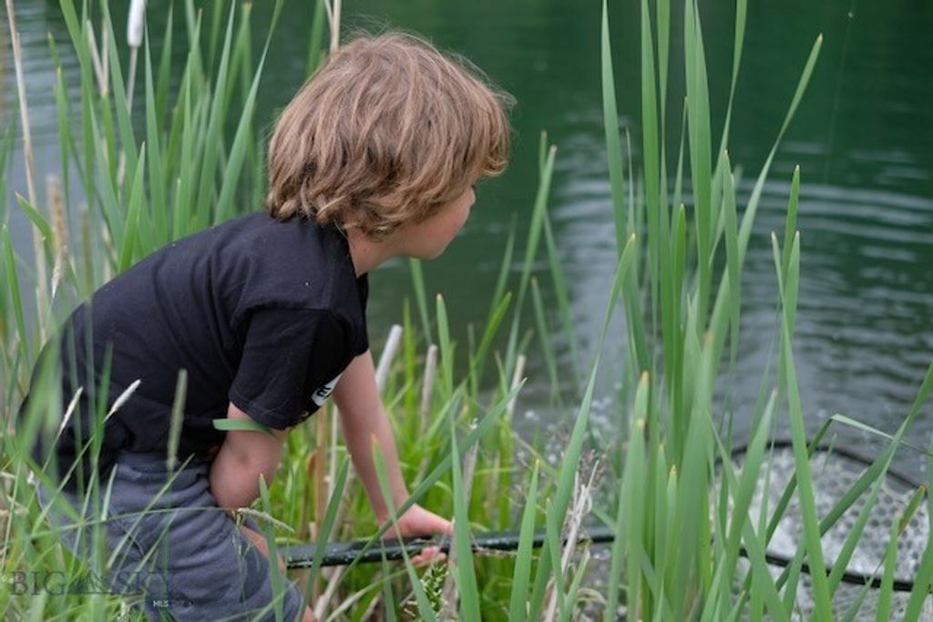 370 Star Ridge Road, Bozeman, MT 59715 photo 39