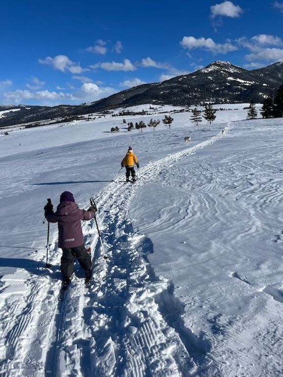 370 Star Ridge Road, Bozeman, MT 59715 photo 57