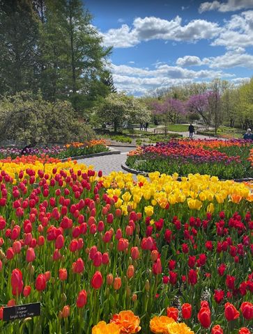 1504 Clover Preserve Way, Chaska, MN 55318