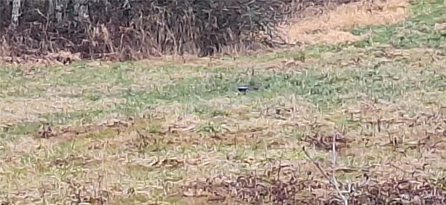 0 State Route 122, Silver Creek, WA 98585