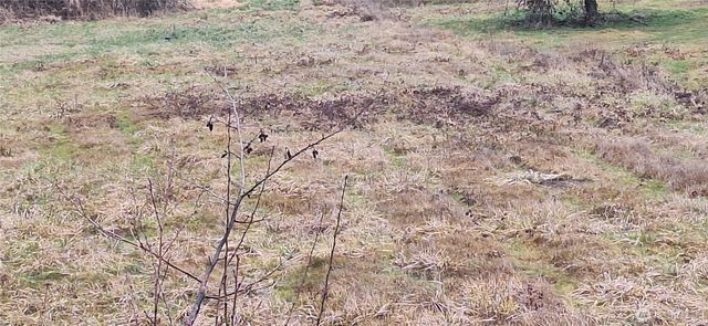 0 State Route 122, Silver Creek, WA 98585