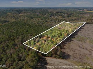 0 Ernest Brown Road, Lillington, NC 27546