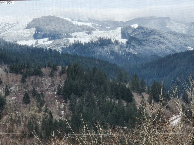 1141 CEDAR FALLS Rd, Washougal, WA 98671