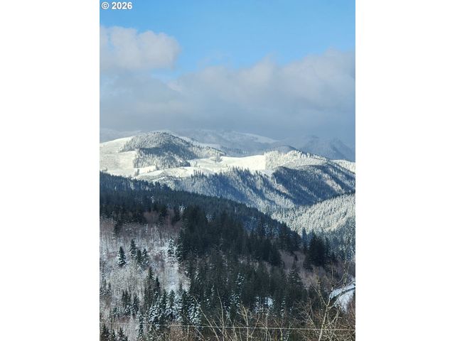 1141 CEDAR FALLS Rd, Washougal, WA 98671