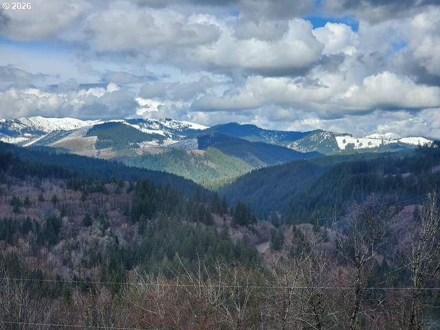 1141 CEDAR FALLS Rd, Washougal, WA 98671