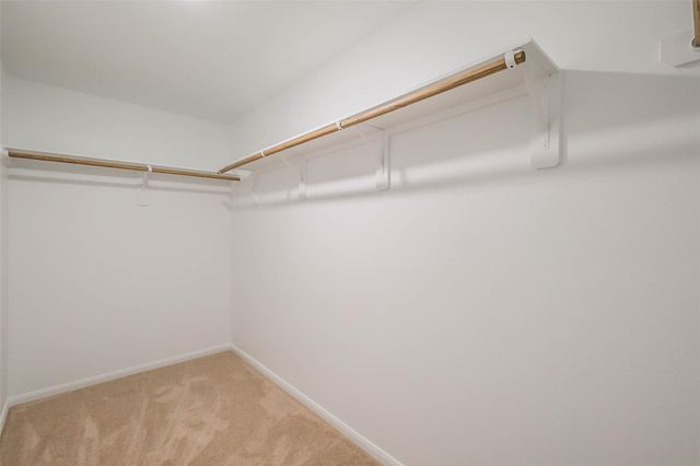 23667 Cranberry Grader Lane, Hockley, TX 77447