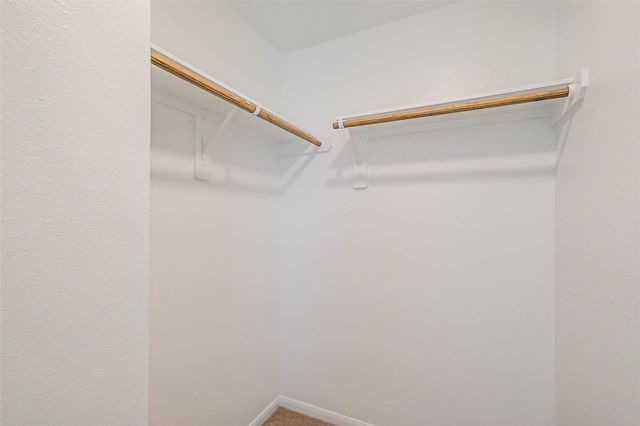 23667 Cranberry Grader Lane, Hockley, TX 77447