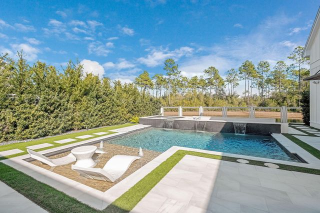 165 Needle Cast Lane, Watersound, FL 32461