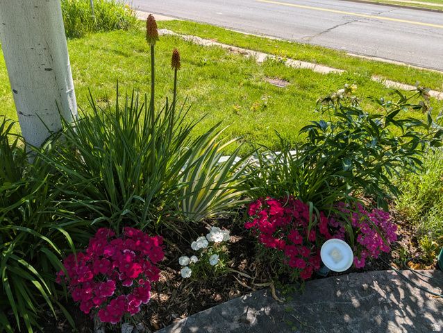 1515 E GENTILE ST, Layton, UT 84040