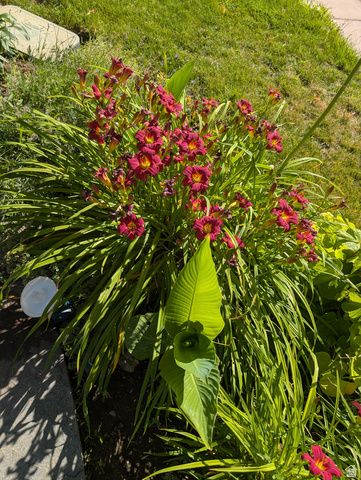 1515 E GENTILE ST, Layton, UT 84040