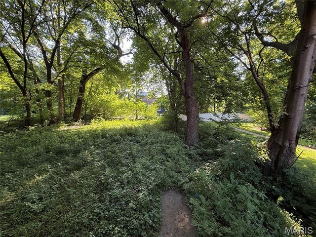 3924 N 19th Street, St Louis, MO 63107