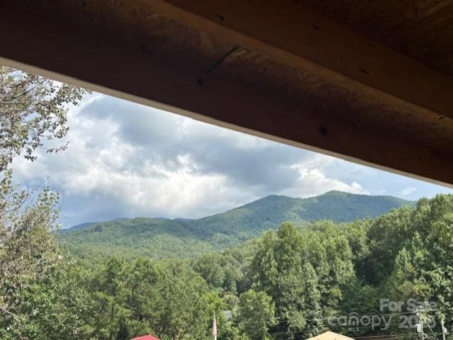 66 Scenic Drive, Bryson City, NC 28713
