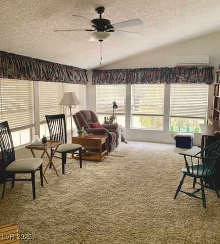 2722 North Saddleback Drive, Amargosa Valley, NV 89020