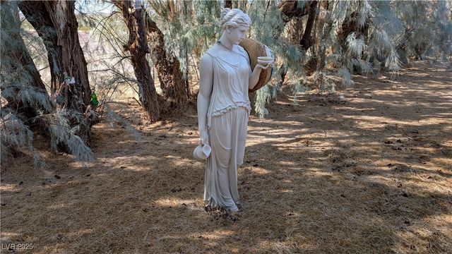 2722 North Saddleback Drive, Amargosa Valley, NV 89020