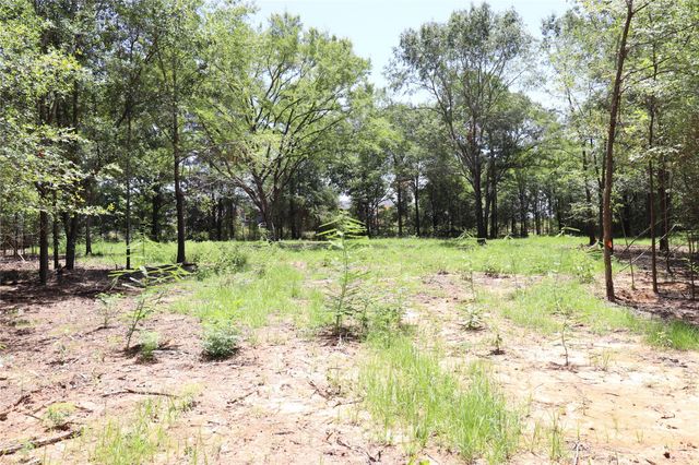 13774 Midway Drive, Willis, TX 77318