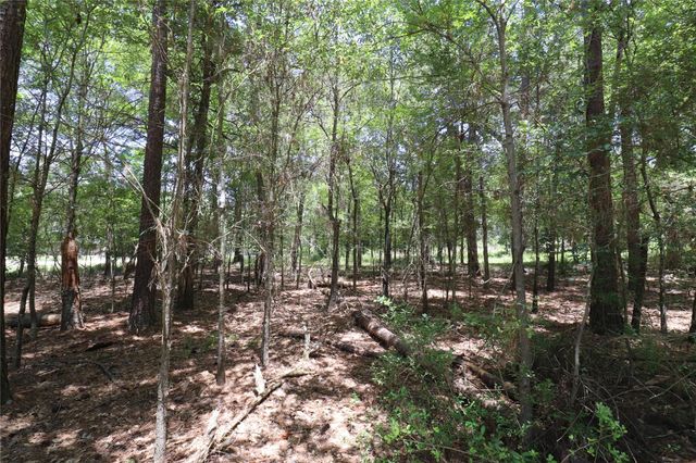 13774 Midway Drive, Willis, TX 77318