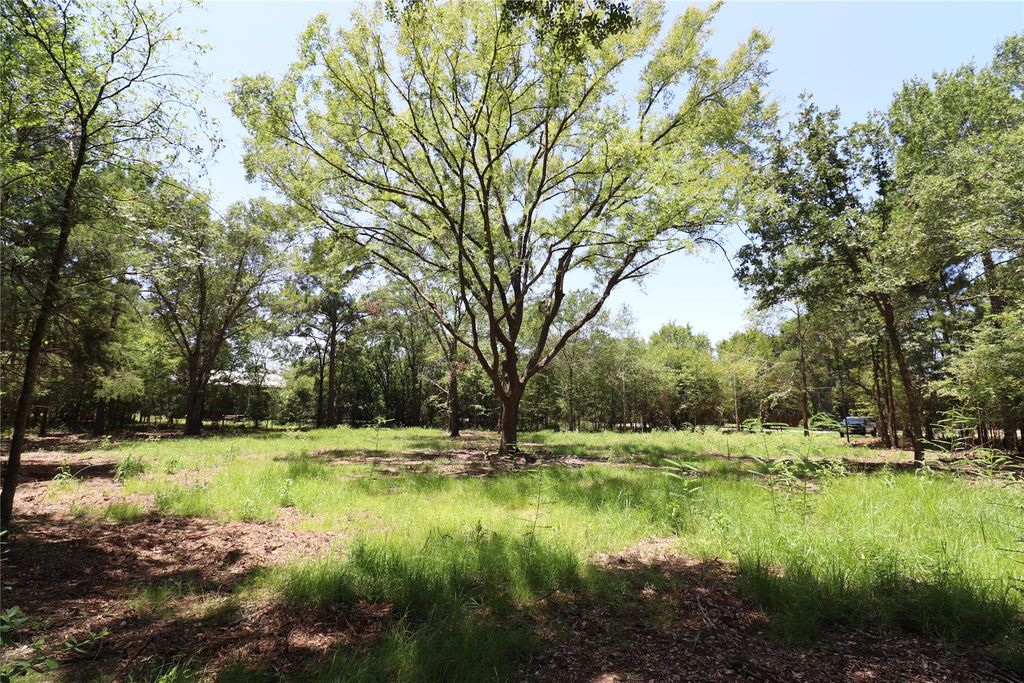 13774 Midway Drive, Willis, TX 77318