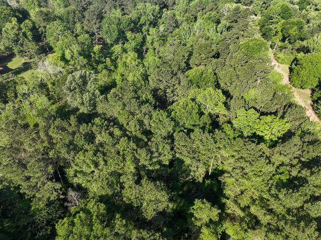 1 Fm 2610, Livingston, TX 77351
