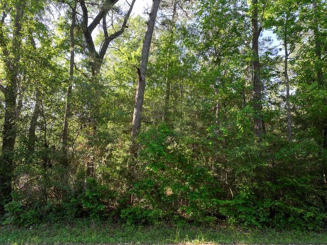 1 Fm 2610, Livingston, TX 77351