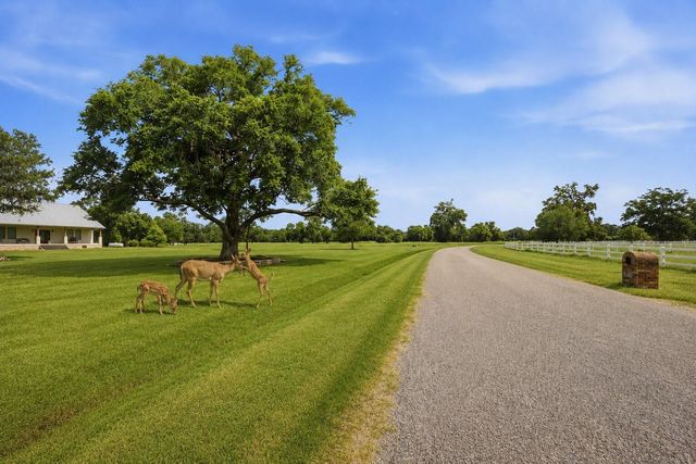 1011 W Fm 1462, Rosharon, TX 77583