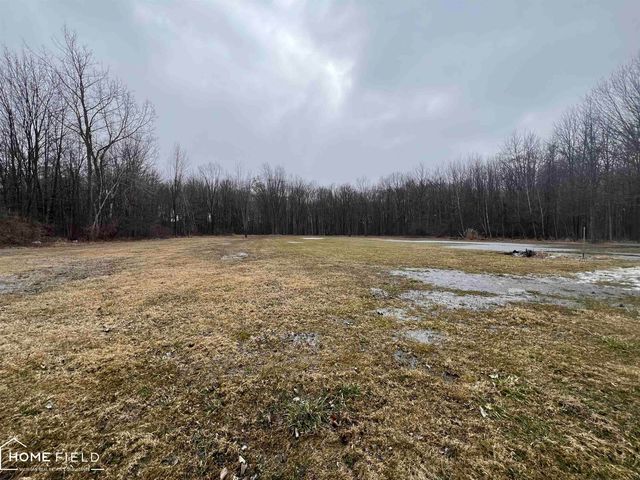 11303 Ferden Road, Chesaning Twp, MI 48616