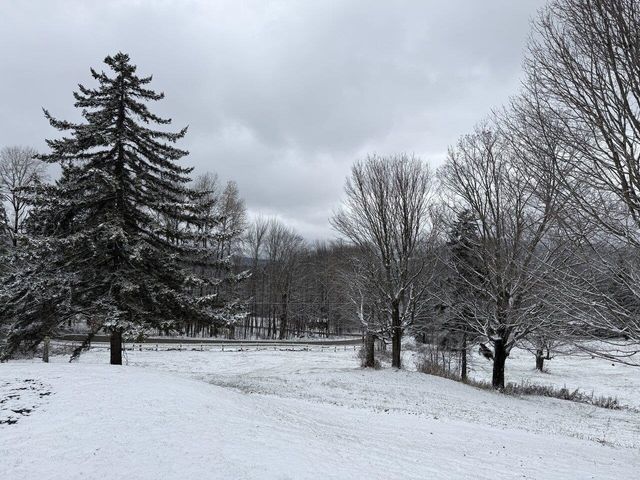 239 Ski Valley Road, Waitsfield, VT 05673