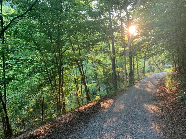 1191 Horns River Road, Irvine, KY 40336