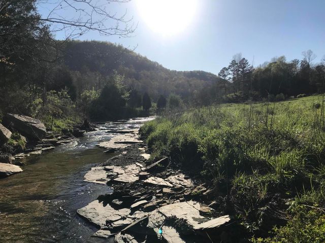 1191 Horns River Road, Irvine, KY 40336
