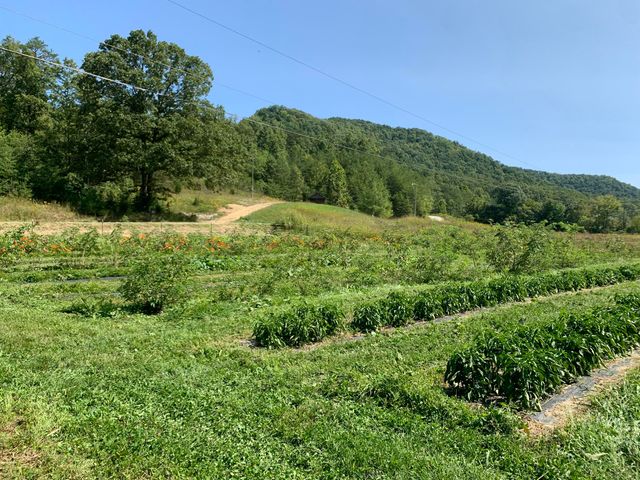 1191 Horns River Road, Irvine, KY 40336