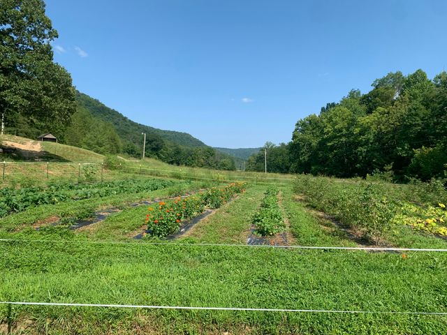 1191 Horns River Road, Irvine, KY 40336