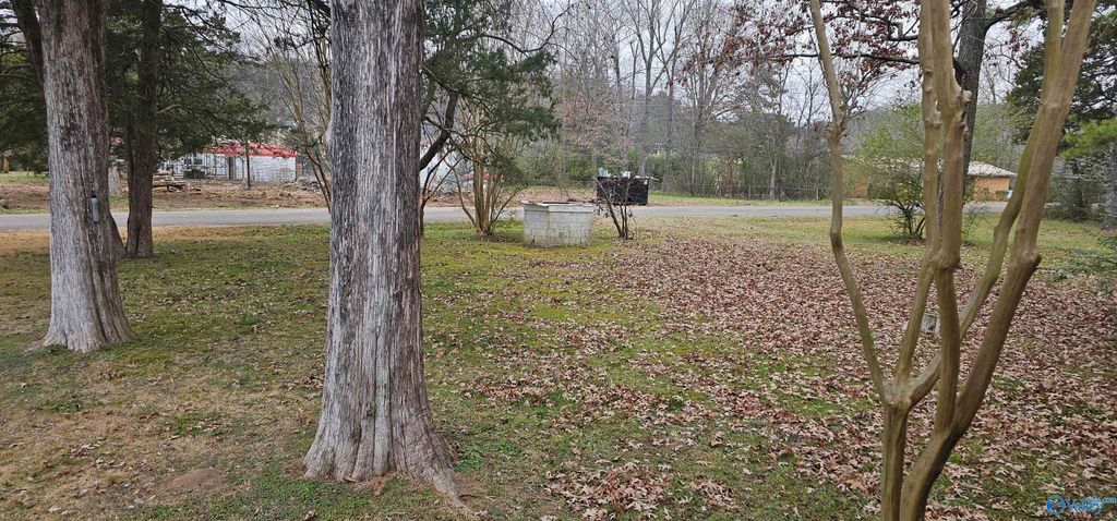 115 Stevenson Drive, Guntersville, AL 35976