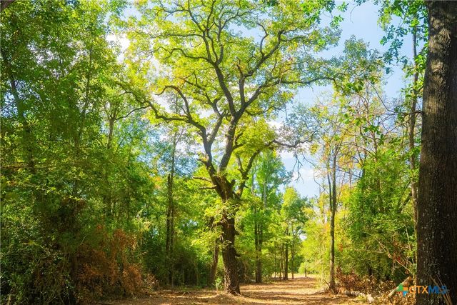 12608 Red Hill RD, Hearne, TX 77859