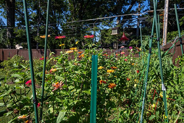 320 Cornell Avenue, Des Plaines, IL 60016