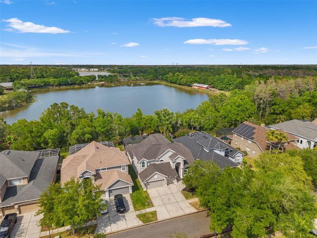 11627 RENAISSANCE VIEW COURT, Tampa, FL 33626