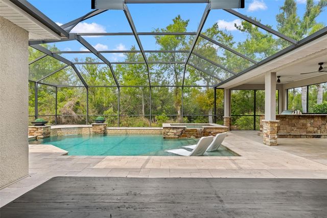 11627 RENAISSANCE VIEW COURT, Tampa, FL 33626