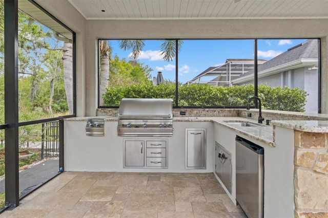 11627 RENAISSANCE VIEW COURT, Tampa, FL 33626