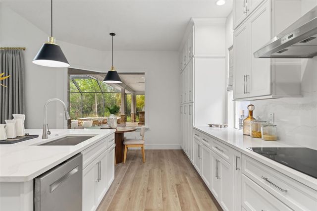 11627 RENAISSANCE VIEW COURT, Tampa, FL 33626