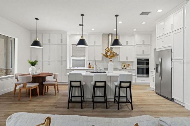 11627 RENAISSANCE VIEW COURT, Tampa, FL 33626