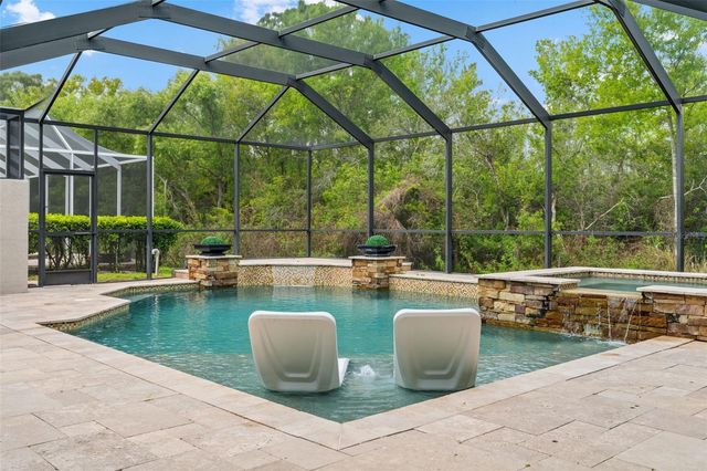 11627 RENAISSANCE VIEW COURT, Tampa, FL 33626