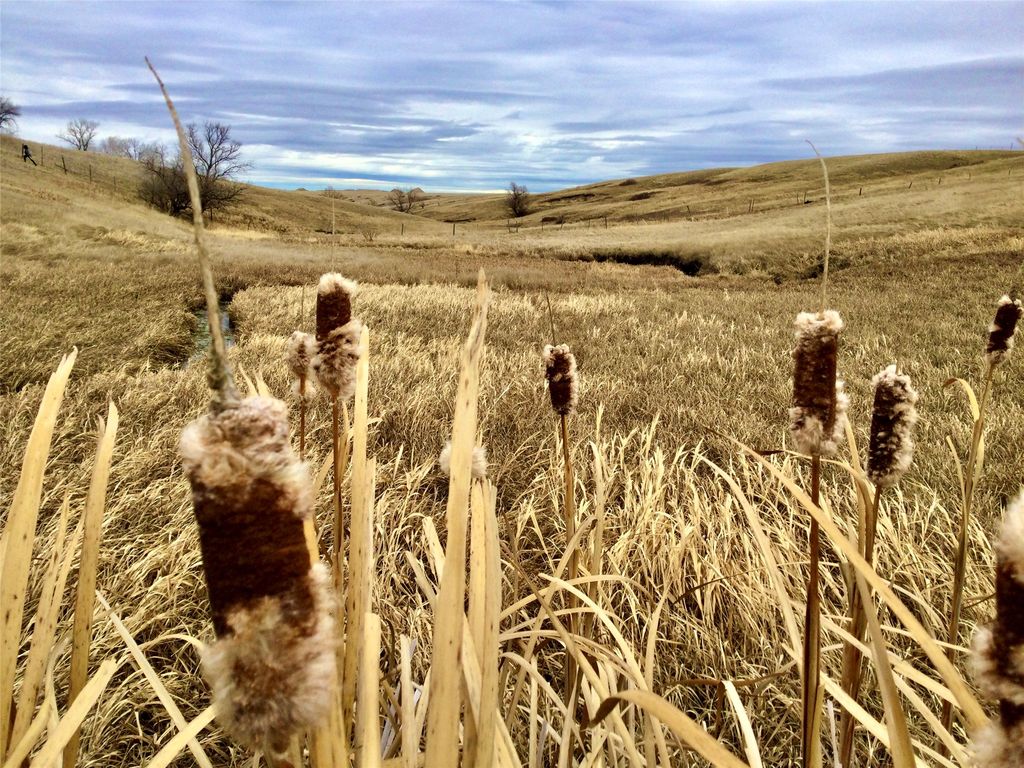 1481 Countyline Road, Vaughn, MT 59487 photo 27