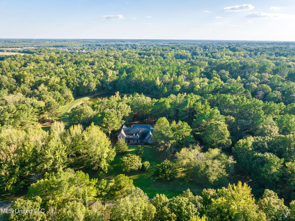 12965 Whispering Pines Drive, Olive Branch, MS 38654 — photo 3